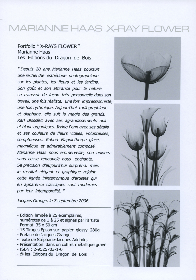 Marianne Haas - X ray Flower